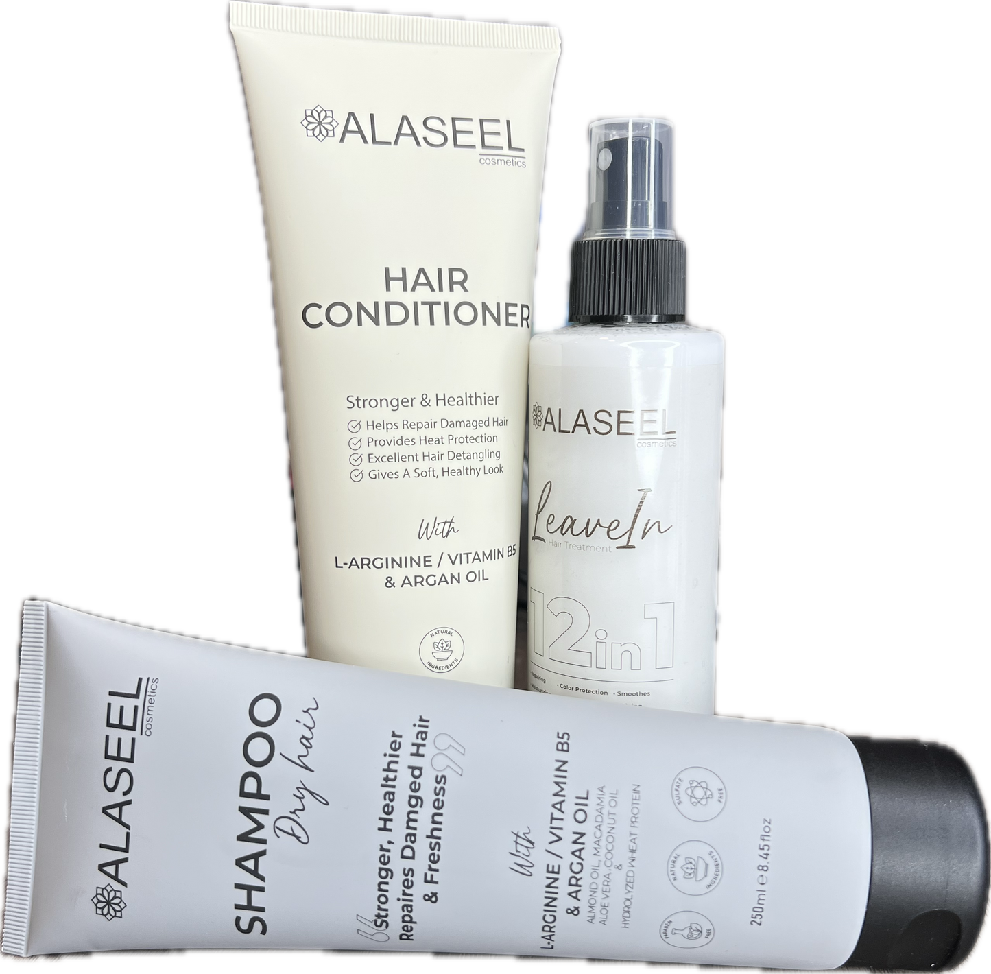 Dry Hair Package ALASEEL UAE