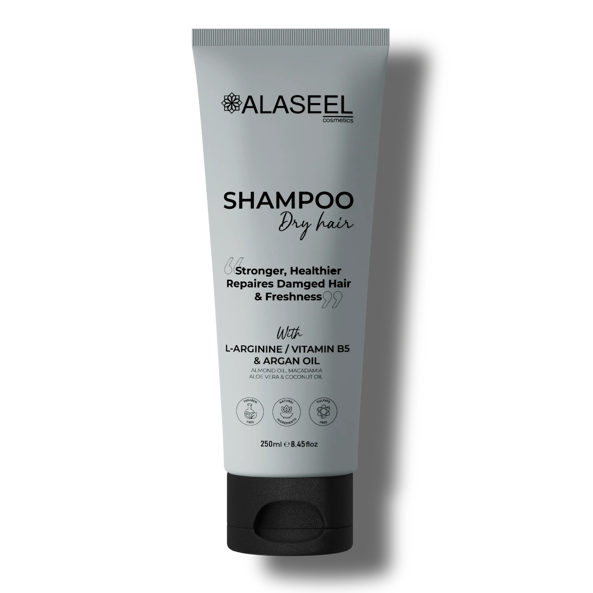 Dry Hair Shampoo My Store