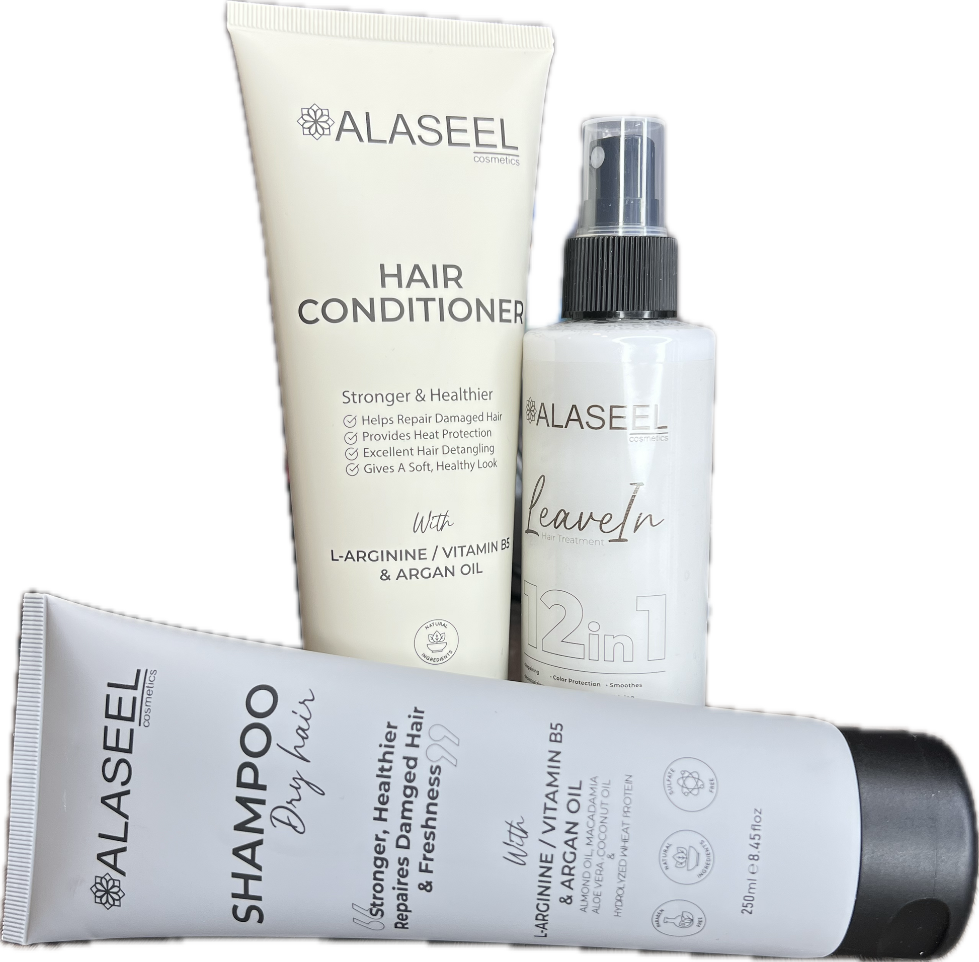 Dry Hair Package ALASEEL UAE